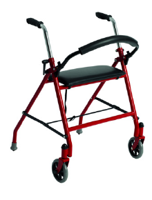 Two Wheeled Walker