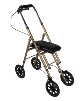 Economy Knee Walker